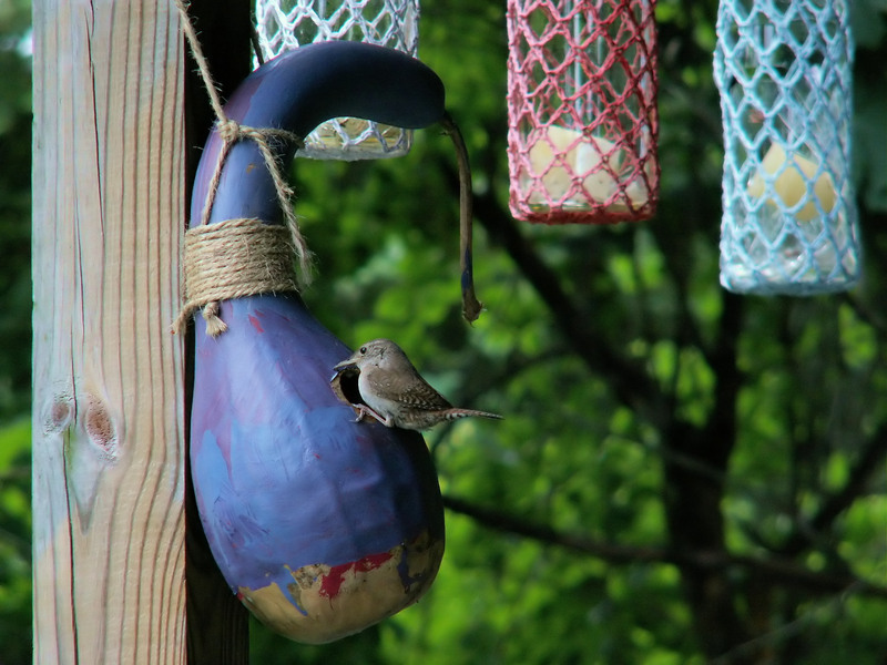 Expert-approved Pre-party Cleaning Checklist for Hosts