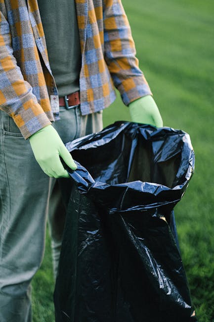 Forest Hill Horniman Museum rubbish removal guide SE23