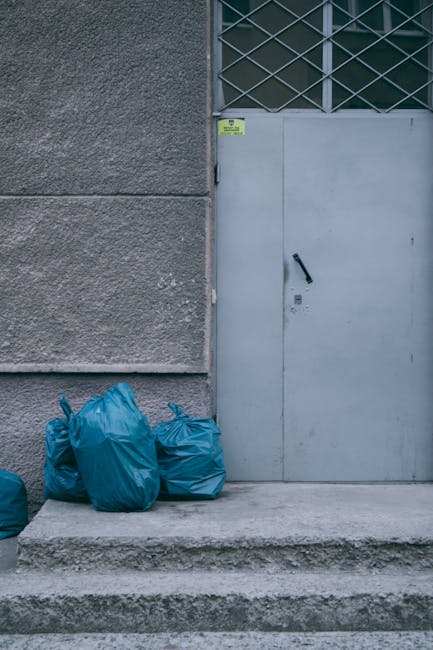 Same day rubbish removal Forest Hill station tips